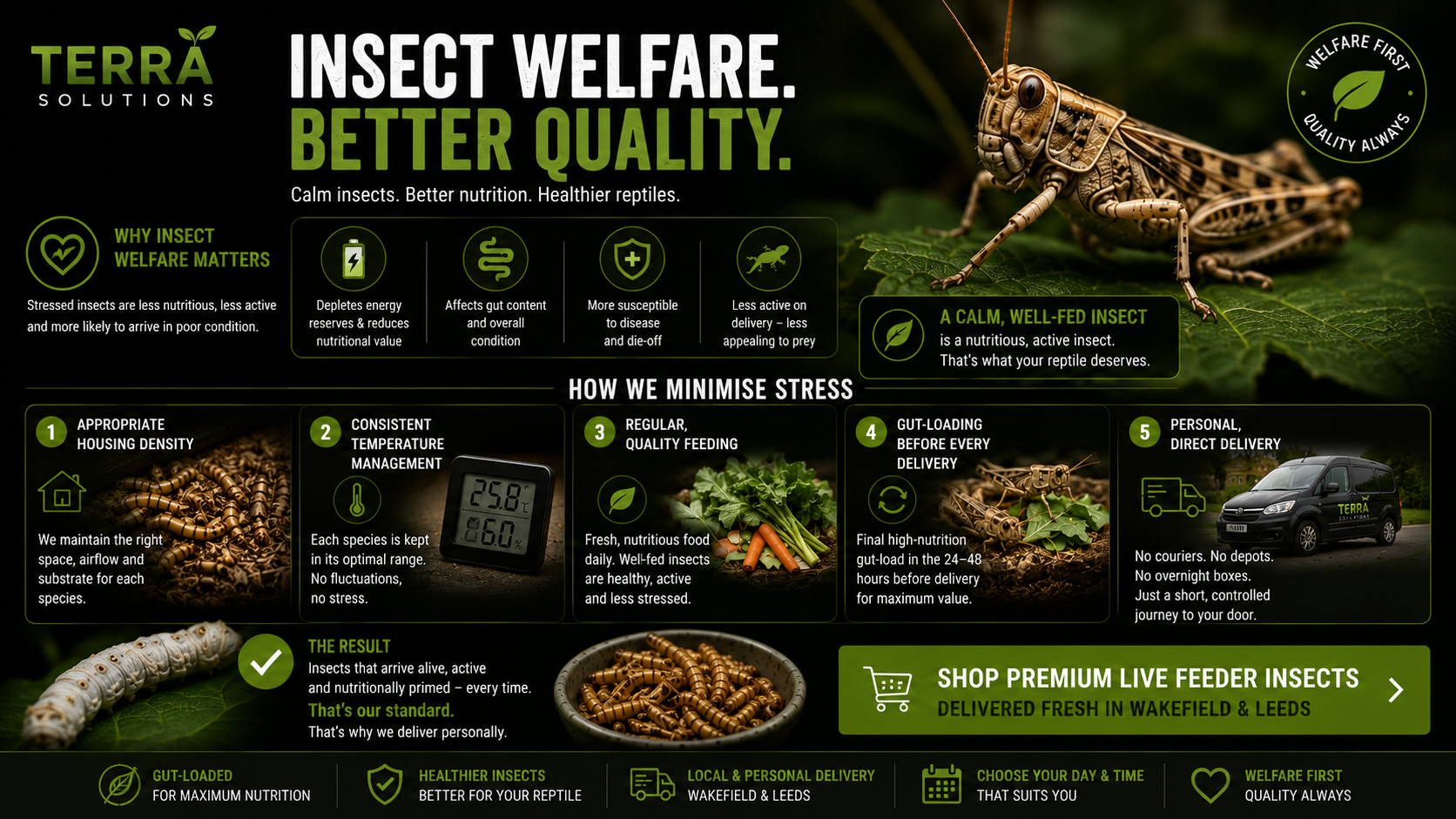 How Terra Solutions Minimises Stress for Live Feeders