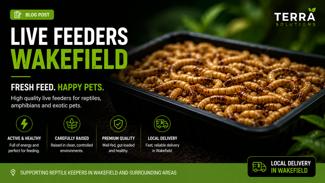 Reptile Live Food Wakefield | Fresh Feeders Delivered Locally