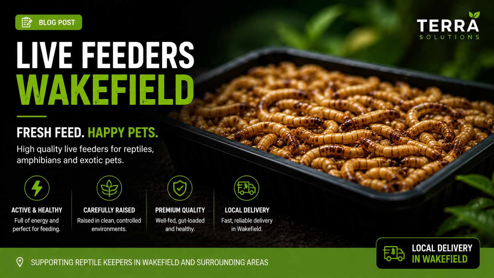 Reptile Live Food Wakefield | Fresh Feeders Delivered Locally