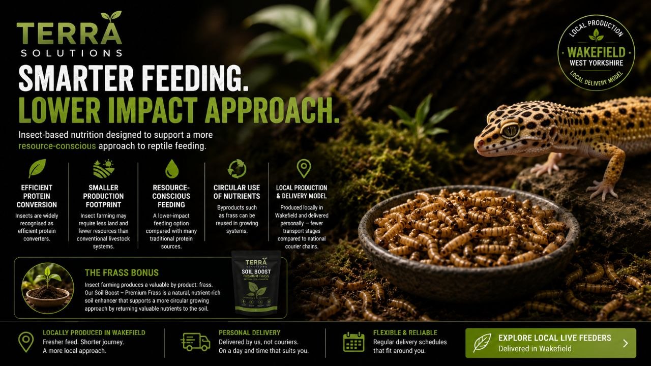 The Environmental Case for Insect-Based Pet Food