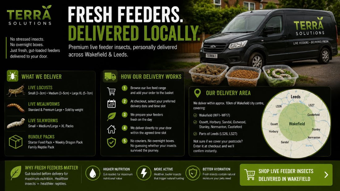 Live Feeder Insects Delivery in Wakefield — What You Need to Know