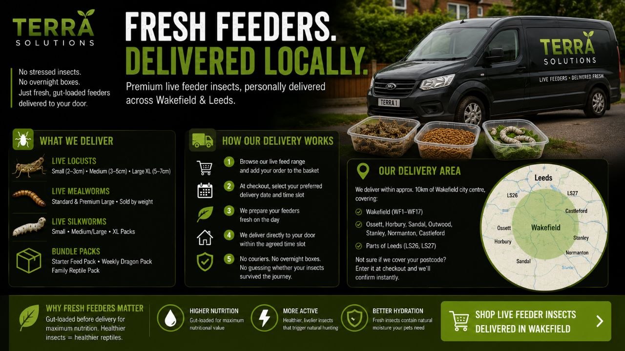 Live Feeder Insects Delivery in Wakefield — What You Need to Know